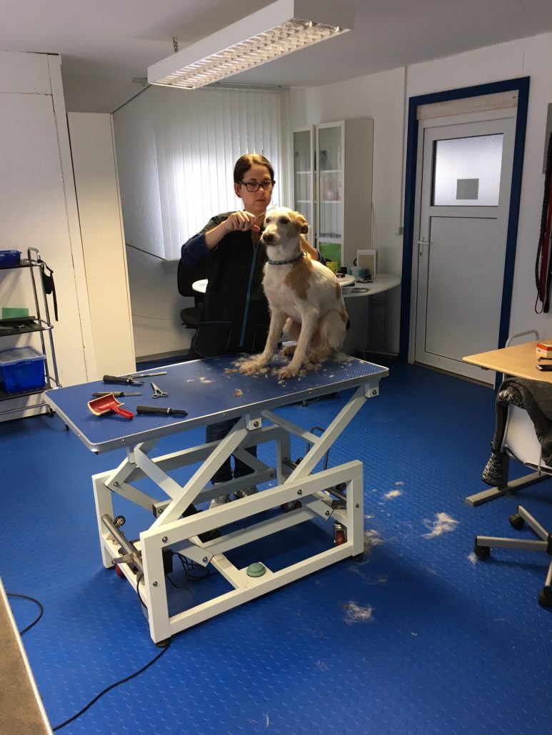 IMG_0741 Kleintierpraxis Dr. med. Hildenbrand Leonberg